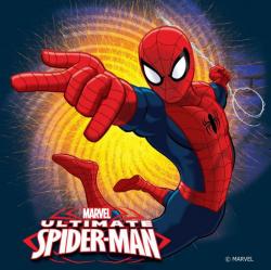 Dekoratvne Fotovankik Spiderman 2016
