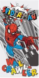 Osuška Spider-man Pop