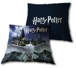 Polštářek Harry Potter 246-Polštářek Harry Potter 246 40x40 cm