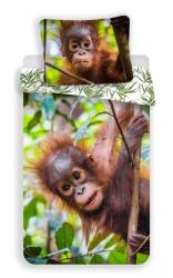 Povlečení fototlač Jerry Fabrics Orangutan 02-Povlečenie fototlač Orangutan 02 140x200, 70x90 cm